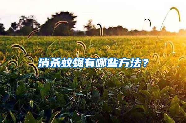 消殺蚊蠅有哪些方法？