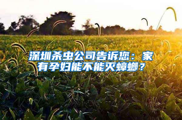 深圳殺蟲公司告訴您：家有孕婦能不能滅蟑螂？