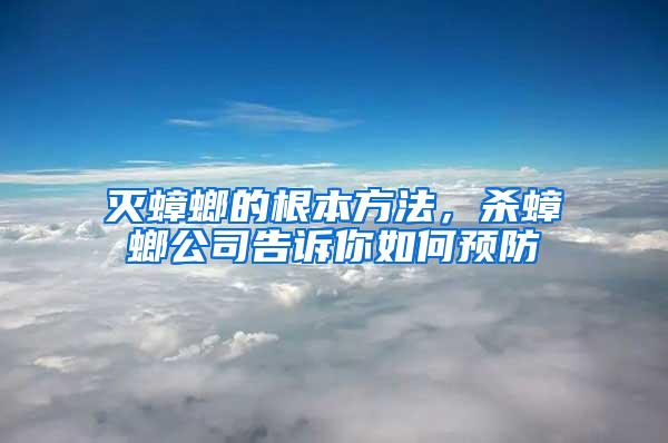 滅蟑螂的根本方法，殺蟑螂公司告訴你如何預(yù)防