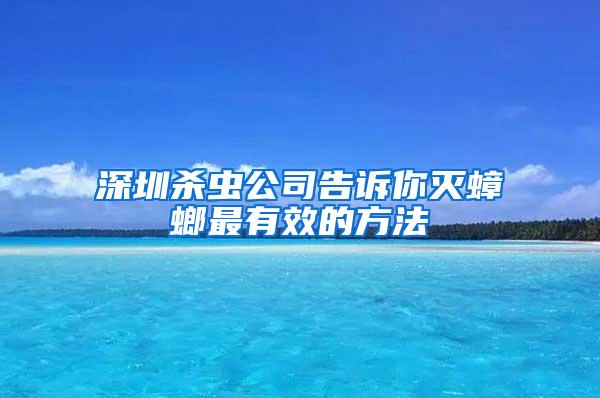 深圳殺蟲公司告訴你滅蟑螂最有效的方法