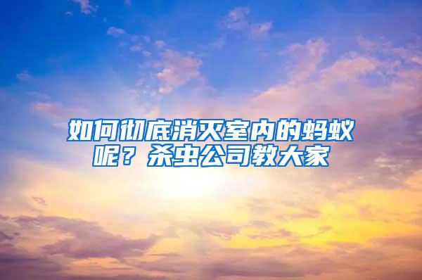 如何徹底消滅室內(nèi)的螞蟻呢？殺蟲公司教大家