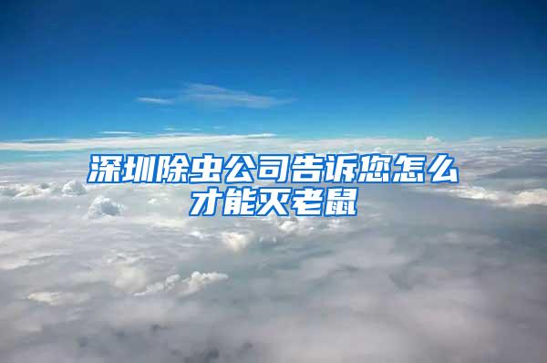 深圳除蟲公司告訴您怎么才能滅老鼠