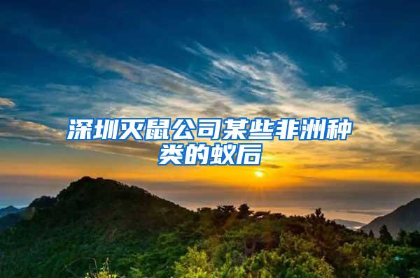 深圳滅鼠公司某些非洲種類的蟻后