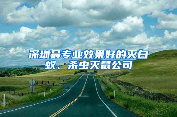 深圳最專業(yè)效果好的滅白蟻、殺蟲(chóng)滅鼠公司