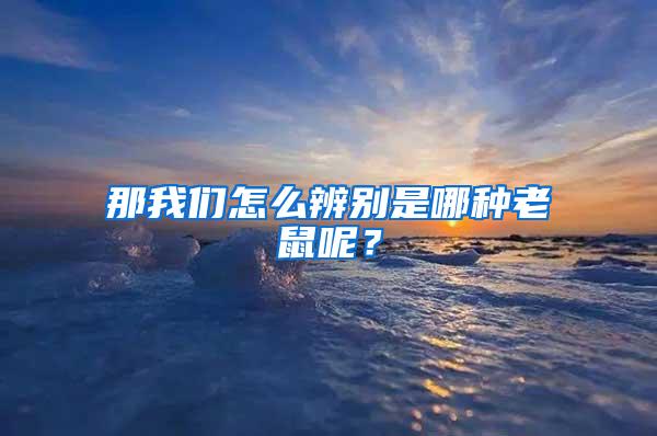 那我們?cè)趺幢鎰e是哪種老鼠呢？