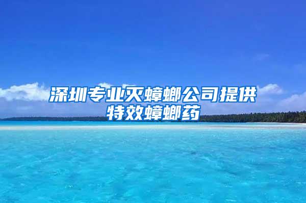 深圳專業(yè)滅蟑螂公司提供特效蟑螂藥