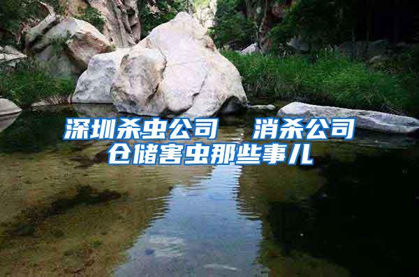 深圳殺蟲公司  消殺公司倉儲(chǔ)害蟲那些事兒