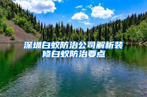 深圳白蟻防治公司解析裝修白蟻防治要點(diǎn)