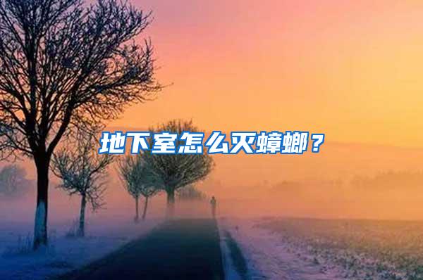 地下室怎么滅蟑螂？