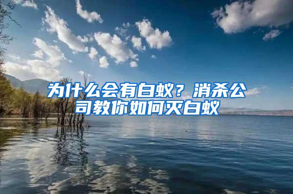 為什么會(huì)有白蟻？消殺公司教你如何滅白蟻