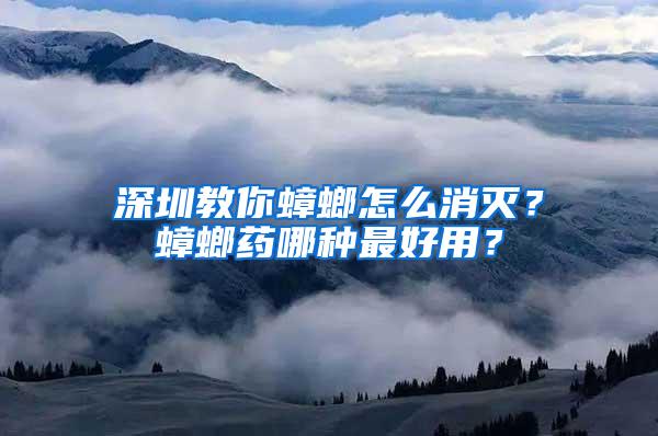 深圳教你蟑螂怎么消滅？蟑螂藥哪種最好用？