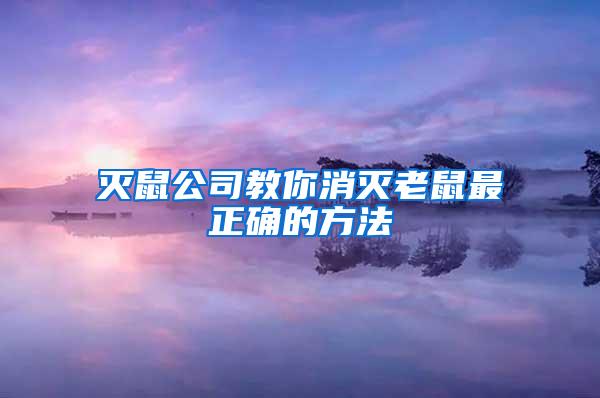 滅鼠公司教你消滅老鼠最正確的方法