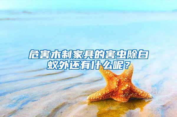 危害木制家具的害蟲(chóng)除白蟻外還有什么呢？