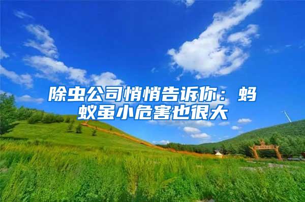 除蟲公司悄悄告訴你：螞蟻雖小危害也很大