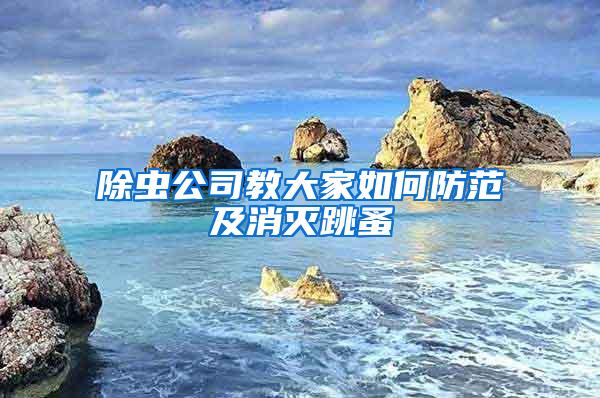 除蟲(chóng)公司教大家如何防范及消滅跳蚤