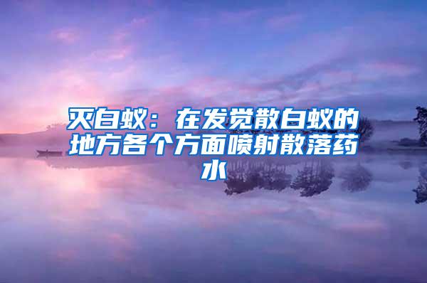 滅白蟻：在發(fā)覺散白蟻的地方各個方面噴射散落藥水