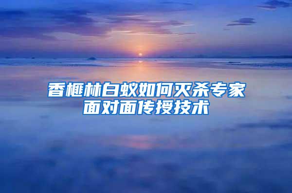 香榧林白蟻如何滅殺專家面對面?zhèn)魇诩夹g(shù)