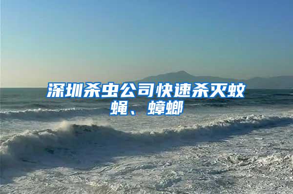 深圳殺蟲公司快速殺滅蚊蠅、蟑螂