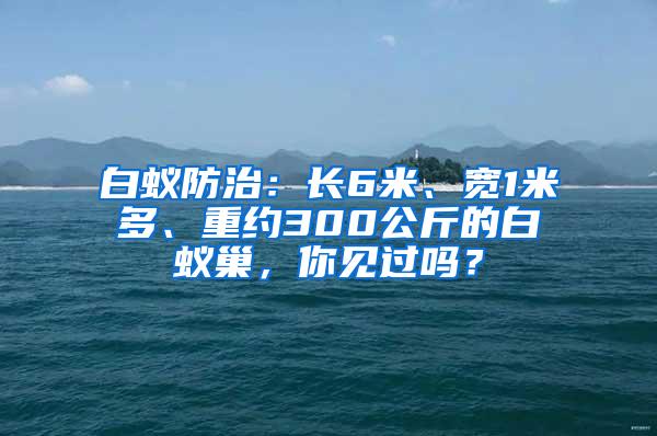 白蟻防治：長(zhǎng)6米、寬1米多、重約300公斤的白蟻巢，你見(jiàn)過(guò)嗎？