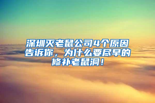 深圳滅老鼠公司4個原因告訴你，為什么要盡早的修補(bǔ)老鼠洞！