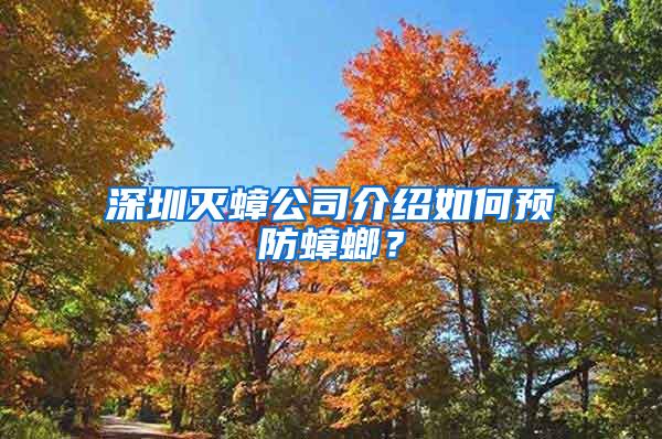 深圳滅蟑公司介紹如何預(yù)防蟑螂？