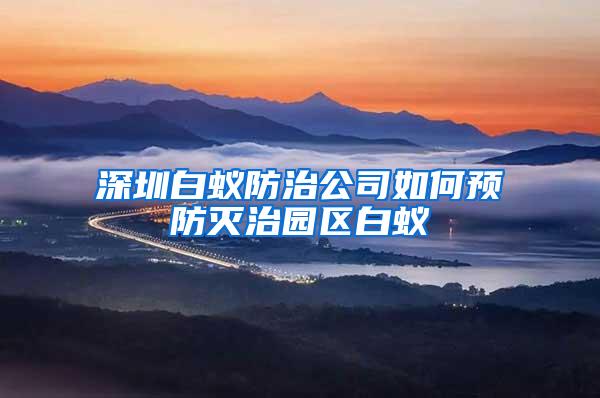 深圳白蟻防治公司如何預(yù)防滅治園區(qū)白蟻