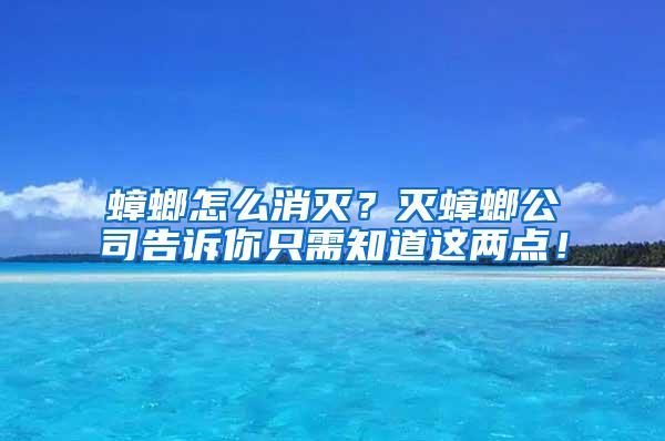 蟑螂怎么消滅？滅蟑螂公司告訴你只需知道這兩點！