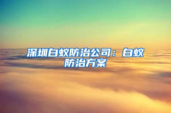 深圳白蟻防治公司：白蟻防治方案