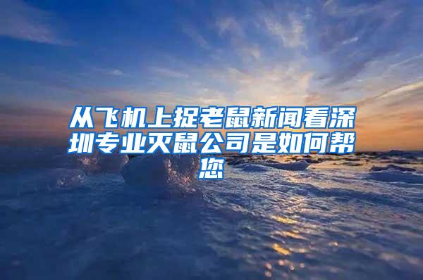 從飛機上捉老鼠新聞看深圳專業(yè)滅鼠公司是如何幫您