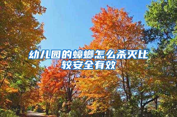 幼兒園的蟑螂怎么殺滅比較安全有效