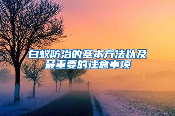 白蟻防治的基本方法以及最重要的注意事項