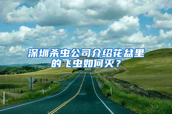 深圳殺蟲公司介紹花盆里的飛蟲如何滅？