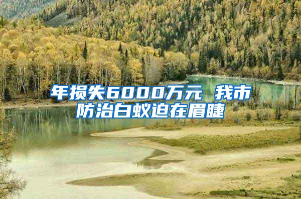 年損失6000萬(wàn)元 我市防治白蟻迫在眉睫