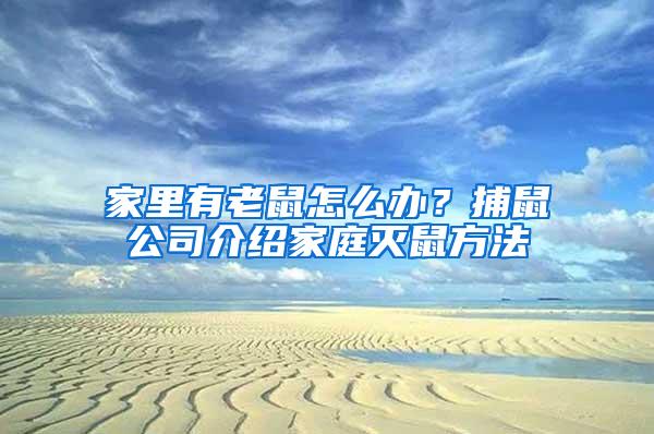 家里有老鼠怎么辦？捕鼠公司介紹家庭滅鼠方法