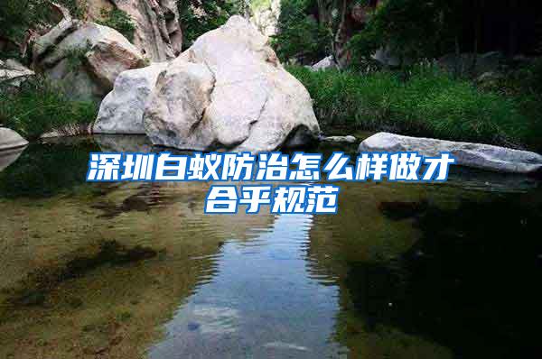 深圳白蟻防治怎么樣做才合乎規(guī)范