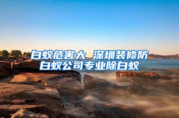 白蟻危害大 深圳裝修防白蟻公司專業(yè)除白蟻