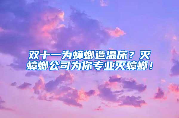 雙十一為蟑螂造溫床？滅蟑螂公司為你專業(yè)滅蟑螂！