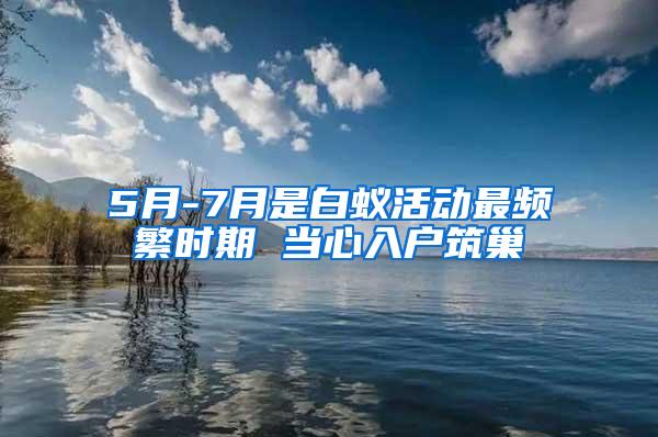 5月-7月是白蟻活動最頻繁時期 當(dāng)心入戶筑巢