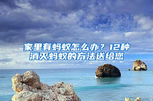 家里有螞蟻怎么辦？12種消滅螞蟻的方法送給您