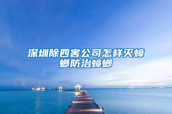 深圳除四害公司怎樣滅蟑螂防治蟑螂