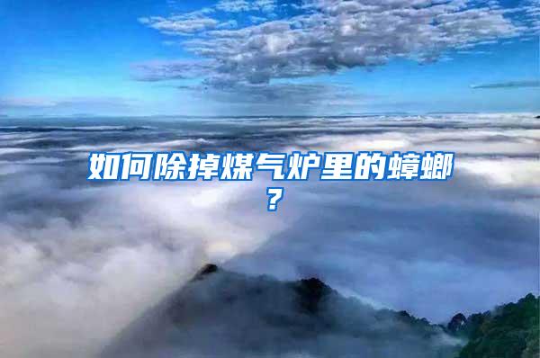 如何除掉煤氣爐里的蟑螂？