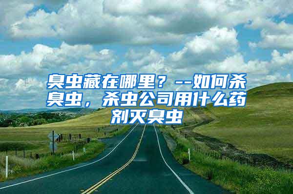 臭蟲藏在哪里？--如何殺臭蟲，殺蟲公司用什么藥劑滅臭蟲