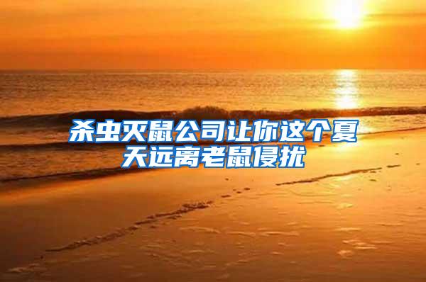 殺蟲滅鼠公司讓你這個夏天遠離老鼠侵擾