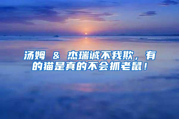 湯姆 & 杰瑞誠(chéng)不我欺，有的貓是真的不會(huì)抓老鼠！