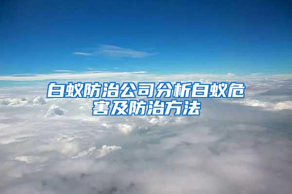 白蟻防治公司分析白蟻危害及防治方法