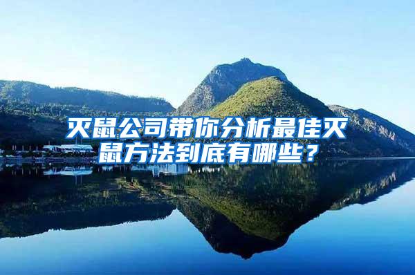 滅鼠公司帶你分析最佳滅鼠方法到底有哪些？