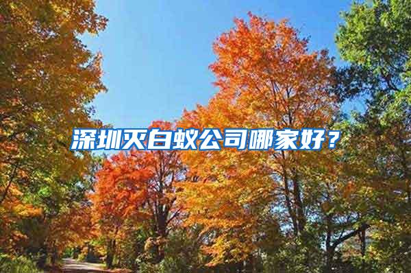 深圳滅白蟻公司哪家好？