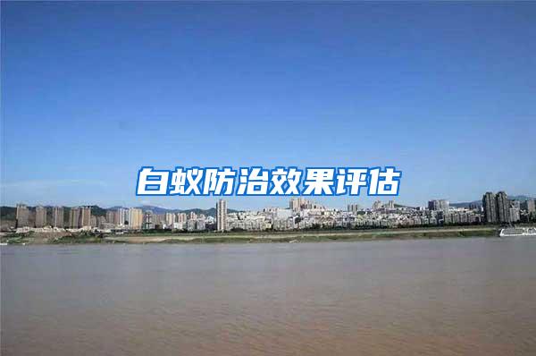 白蟻防治效果評估