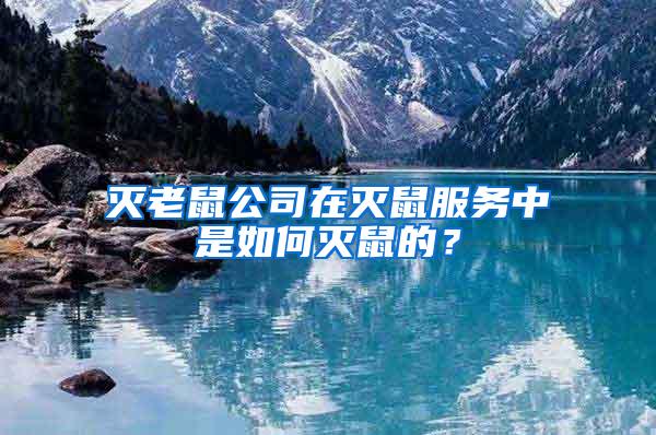 滅老鼠公司在滅鼠服務(wù)中是如何滅鼠的？