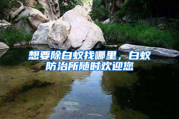 想要除白蟻找哪里，白蟻防治所隨時(shí)歡迎您